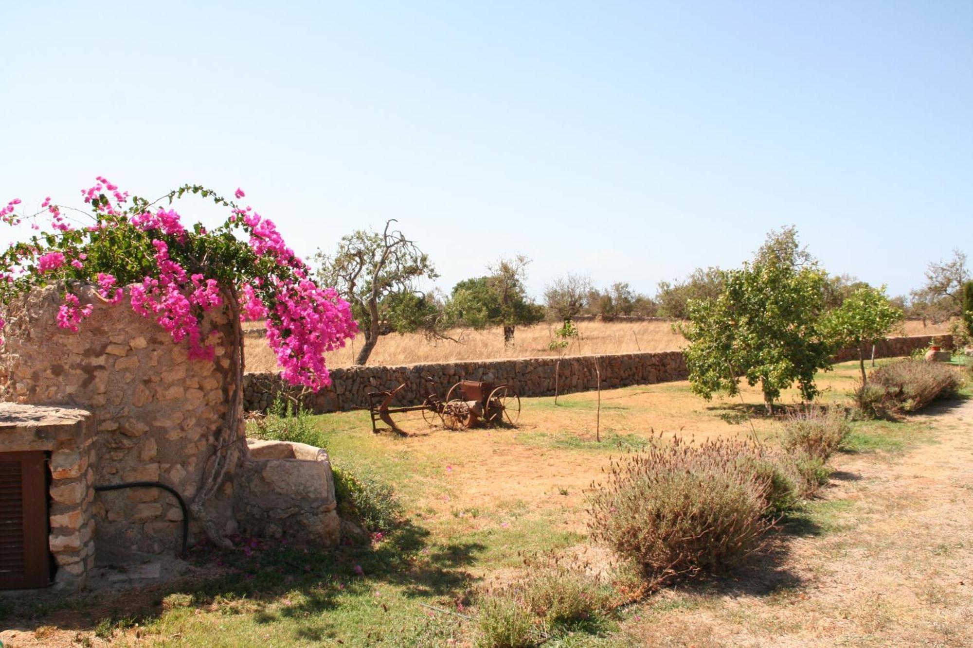Landhaus Na Corma By Dracmallorca